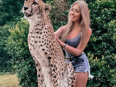 Билеты в зоопарк Cheetah's Rock + трансфер